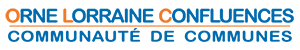 Logo_OLC_transitoire_fond_tansparent-BD-taille_reduite.png